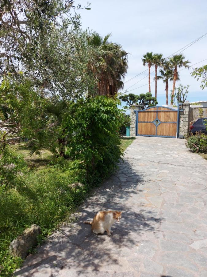 Villa Symphony Sea View Forio di Ischia エクステリア 写真
