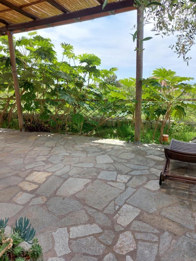 Villa Symphony Sea View Forio di Ischia エクステリア 写真
