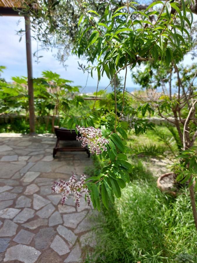 Villa Symphony Sea View Forio di Ischia エクステリア 写真