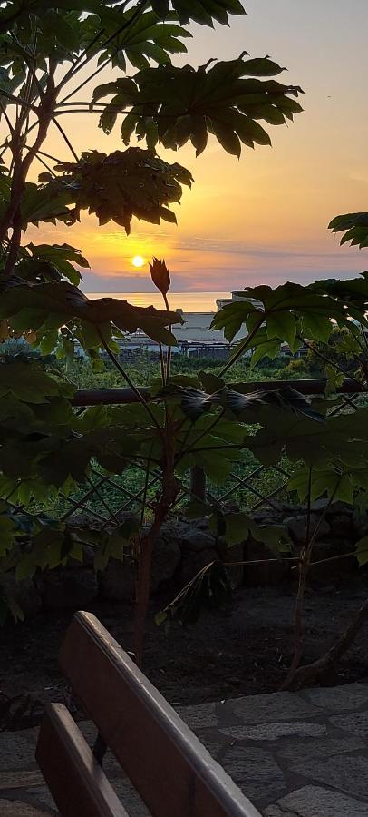 Villa Symphony Sea View Forio di Ischia エクステリア 写真