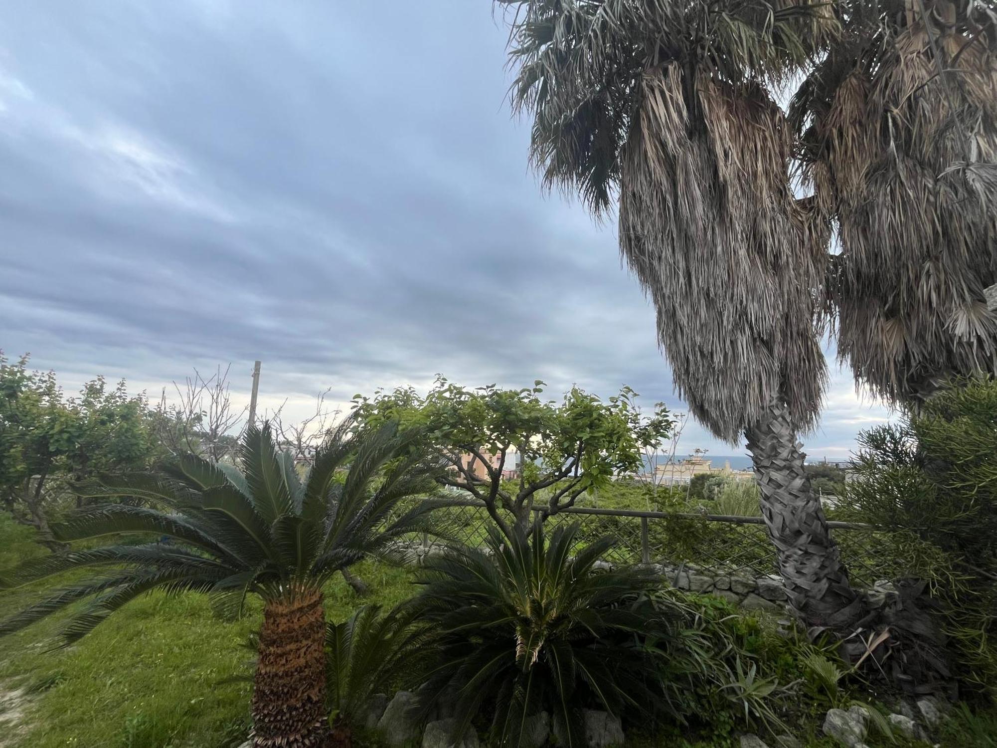 Villa Symphony Sea View Forio di Ischia エクステリア 写真