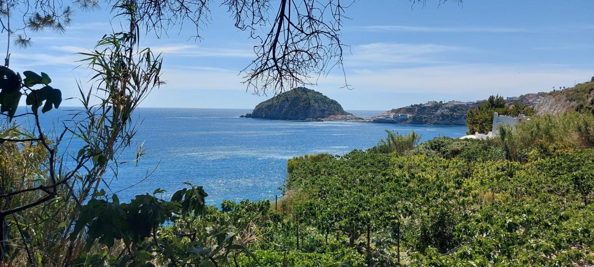 Villa Symphony Sea View Forio di Ischia エクステリア 写真