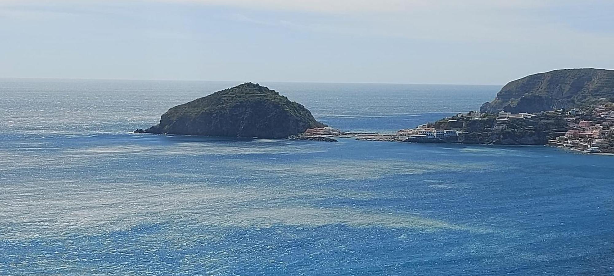 Villa Symphony Sea View Forio di Ischia エクステリア 写真
