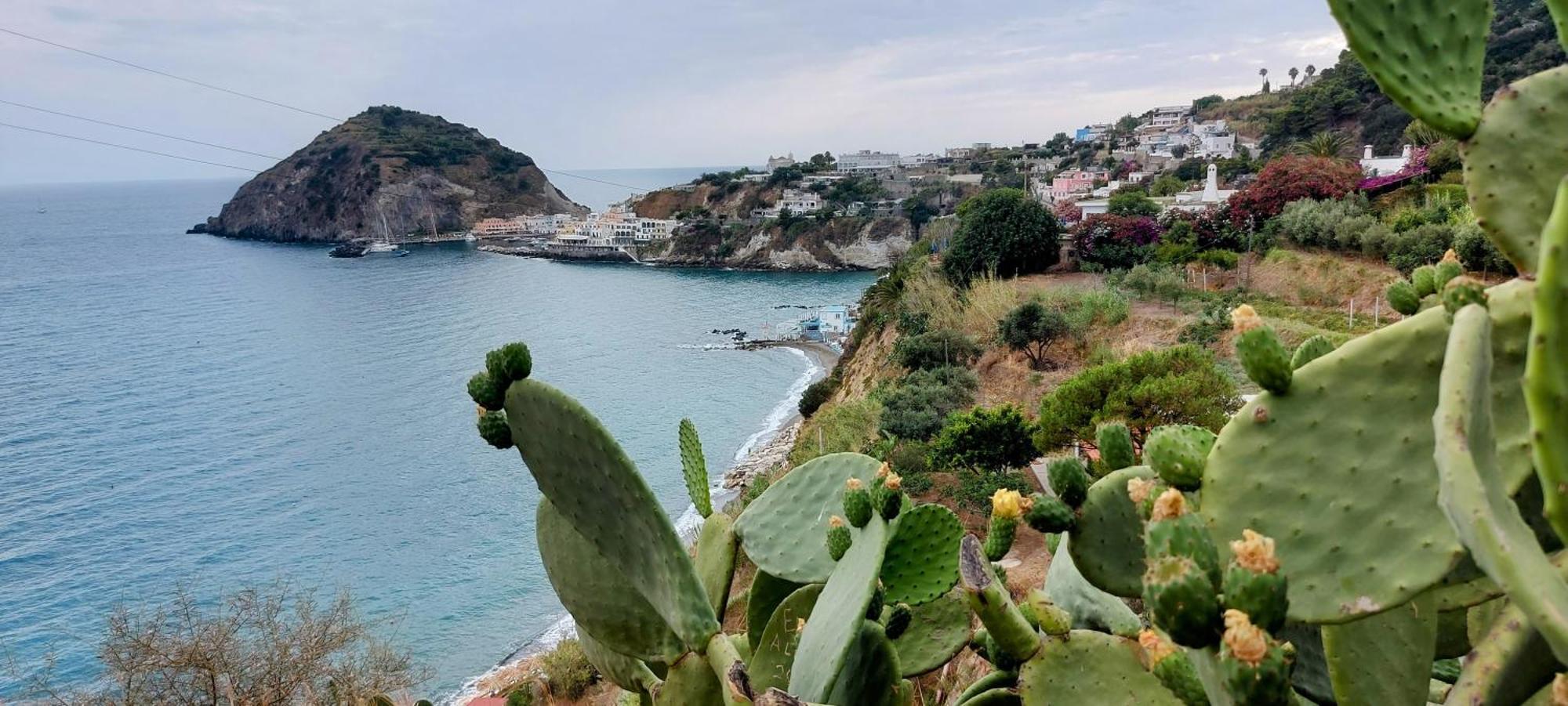 Villa Symphony Sea View Forio di Ischia エクステリア 写真